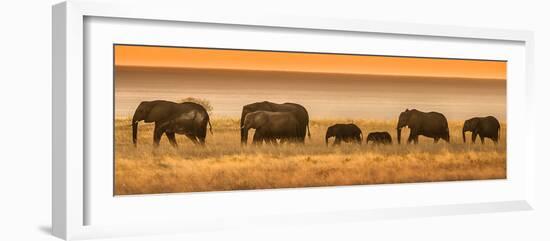 Etosha NP, Namibia, Africa. Elephants Walk in a Line at Sunset-Janet Muir-Framed Photographic Print