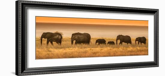 Etosha NP, Namibia, Africa. Elephants Walk in a Line at Sunset-Janet Muir-Framed Photographic Print