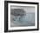 Etretat, la porte d'Aval : bateau de pêche sortant du port-Claude Monet-Framed Giclee Print