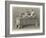 Etruscan Sarcophagus, Castellani Collection-null-Framed Giclee Print