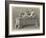 Etruscan Sarcophagus, Castellani Collection-null-Framed Giclee Print