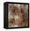 Etruscan Vision II-Douglas-Framed Stretched Canvas