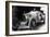 Ettore Bugatti (1881-1947)Italian Car Manufacturer, 20's-null-Framed Photo