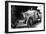 Ettore Bugatti (1881-1947)Italian Car Manufacturer, 20's-null-Framed Photo