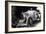 Ettore Bugatti (1881-1947)Italian Car Manufacturer, 20's-null-Framed Photo