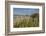 Ettore E Infersa Salt Works Area-Guido Cozzi-Framed Photographic Print