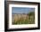 Ettore E Infersa Salt Works Area-Guido Cozzi-Framed Photographic Print