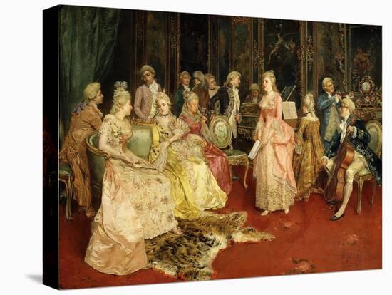 Stretched Canvas Print, , large