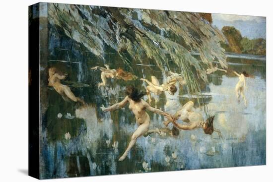 Stretched Canvas Print, , large