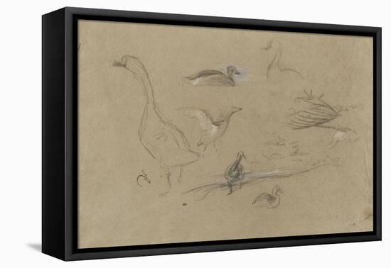 Etude d'oies et de canards-Pieter Boel-Framed Premier Image Canvas