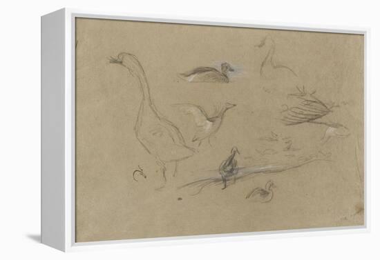 Etude d'oies et de canards-Pieter Boel-Framed Premier Image Canvas