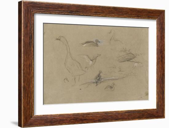 Etude d'oies et de canards-Pieter Boel-Framed Giclee Print