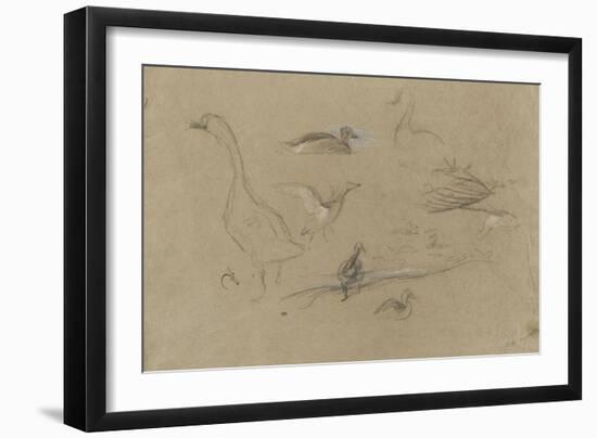 Etude d'oies et de canards-Pieter Boel-Framed Giclee Print