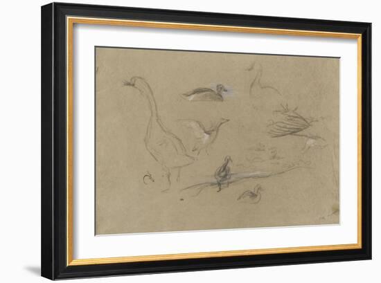 Etude d'oies et de canards-Pieter Boel-Framed Giclee Print