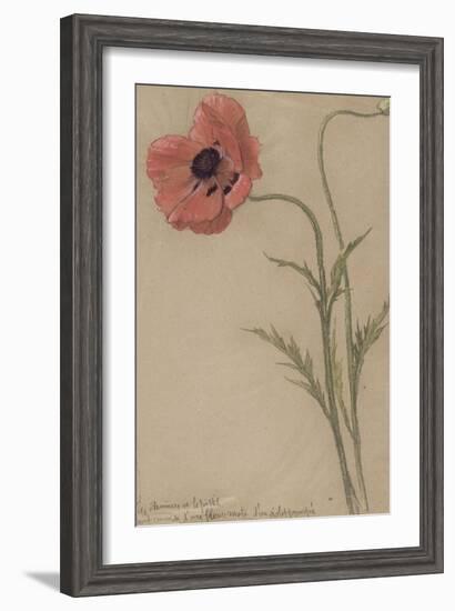 Etude d'un coquelicot-Théophile Alexandre Steinlen-Framed Giclee Print