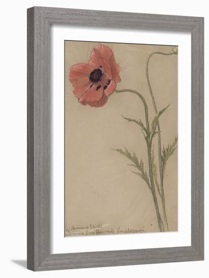 Etude d'un coquelicot-Théophile Alexandre Steinlen-Framed Giclee Print