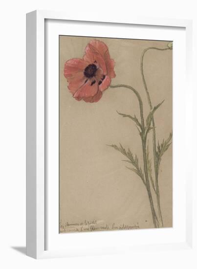 Etude d'un coquelicot-Théophile Alexandre Steinlen-Framed Giclee Print