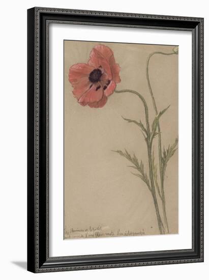 Etude d'un coquelicot-Théophile Alexandre Steinlen-Framed Giclee Print