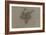 Etude d'un renard-Pieter Boel-Framed Giclee Print