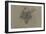 Etude d'un renard-Pieter Boel-Framed Giclee Print