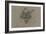 Etude d'un renard-Pieter Boel-Framed Giclee Print