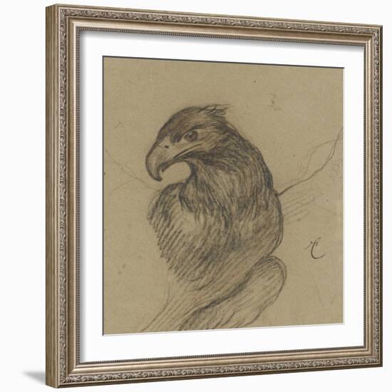 Etude d'un vautour-Pieter Boel-Framed Giclee Print