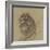 Etude d'un vautour-Pieter Boel-Framed Giclee Print