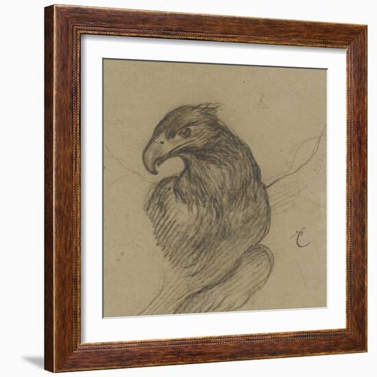 Etude d'un vautour-Pieter Boel-Framed Giclee Print