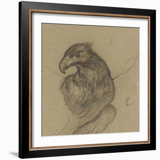 Etude d'un vautour-Pieter Boel-Framed Giclee Print