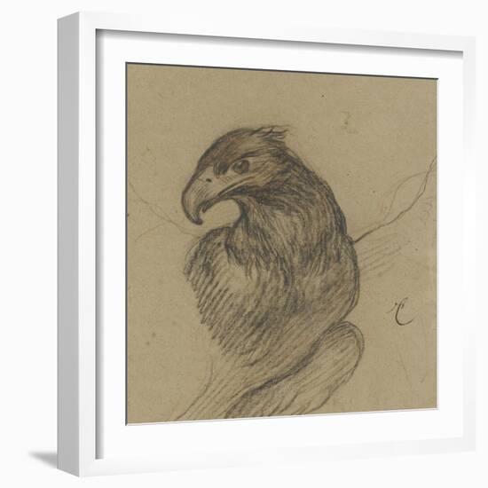 Etude d'un vautour-Pieter Boel-Framed Giclee Print