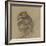 Etude d'un vautour-Pieter Boel-Framed Giclee Print