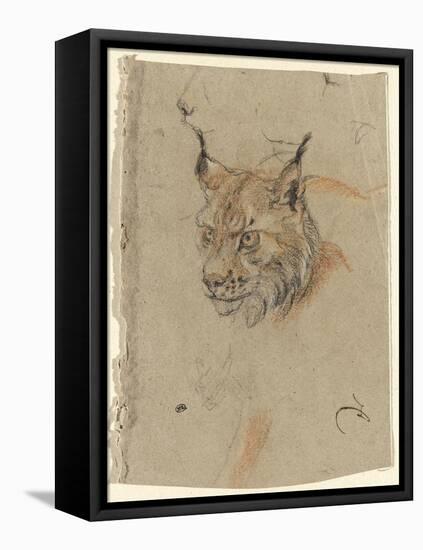 Etude d'une tête de lynx-Pieter Boel-Framed Premier Image Canvas