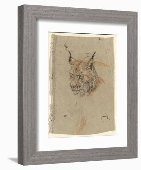 Etude d'une tête de lynx-Pieter Boel-Framed Giclee Print