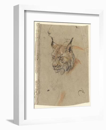 Etude d'une tête de lynx-Pieter Boel-Framed Giclee Print