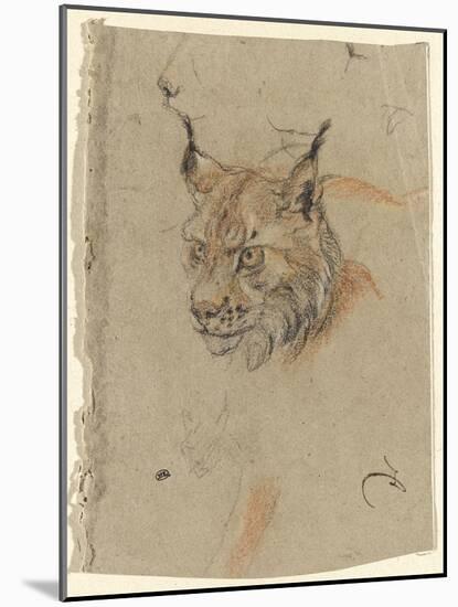 Etude d'une tête de lynx-Pieter Boel-Mounted Giclee Print