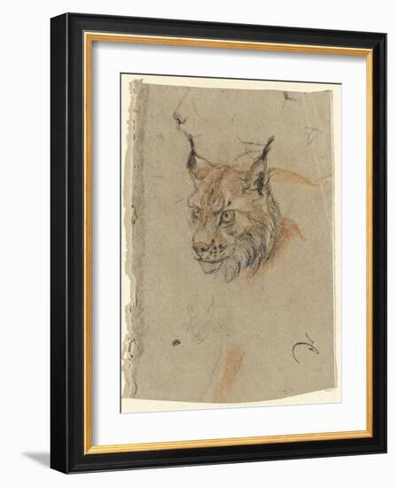 Etude d'une tête de lynx-Pieter Boel-Framed Giclee Print