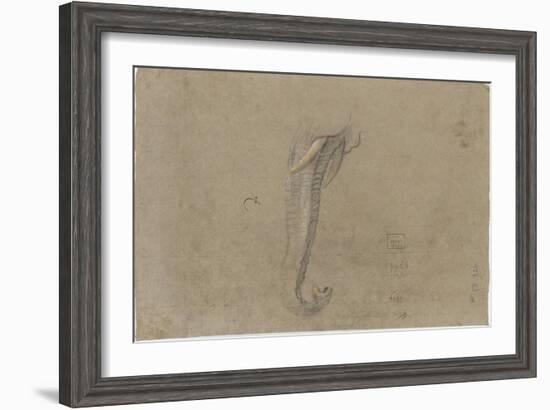 Etude d'une trompe d'éléphant-Pieter Boel-Framed Giclee Print