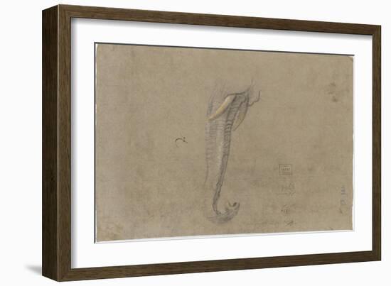 Etude d'une trompe d'éléphant-Pieter Boel-Framed Giclee Print