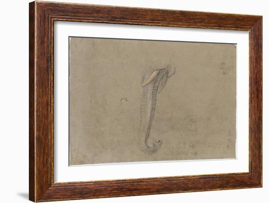 Etude d'une trompe d'éléphant-Pieter Boel-Framed Giclee Print