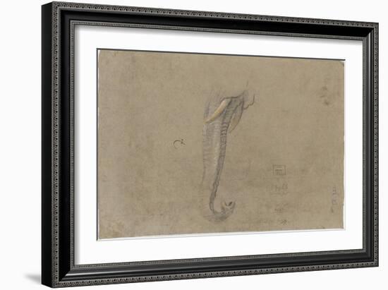 Etude d'une trompe d'éléphant-Pieter Boel-Framed Giclee Print