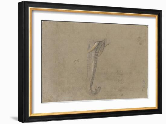 Etude d'une trompe d'éléphant-Pieter Boel-Framed Giclee Print