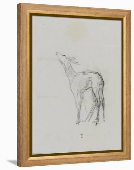 Etude de biche-Thomas Couture-Framed Premier Image Canvas