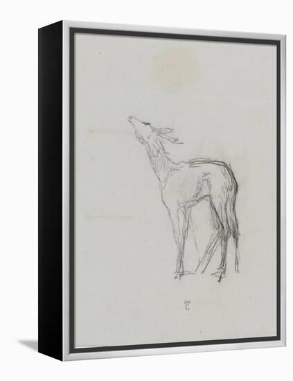 Etude de biche-Thomas Couture-Framed Premier Image Canvas