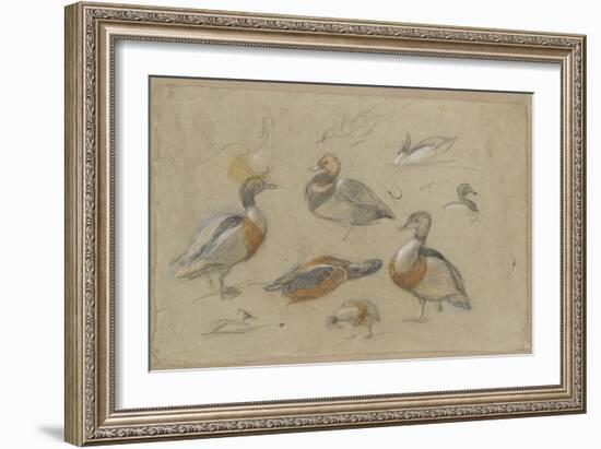 Etude de canards et tête de sarcelle-Pieter Boel-Framed Giclee Print