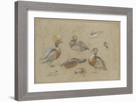 Etude de canards et tête de sarcelle-Pieter Boel-Framed Giclee Print