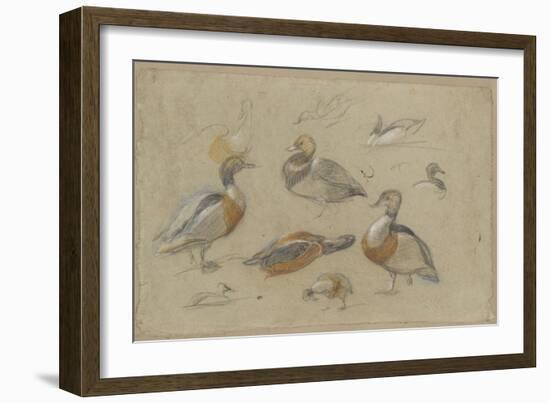 Etude de canards et tête de sarcelle-Pieter Boel-Framed Giclee Print