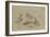 Etude de canards et tête de sarcelle-Pieter Boel-Framed Giclee Print