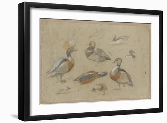 Etude de canards et tête de sarcelle-Pieter Boel-Framed Giclee Print