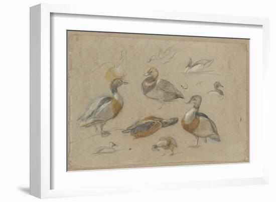 Etude de canards et tête de sarcelle-Pieter Boel-Framed Giclee Print