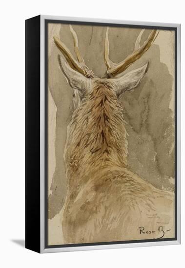 Etude de cerf-Rosa Bonheur-Framed Premier Image Canvas